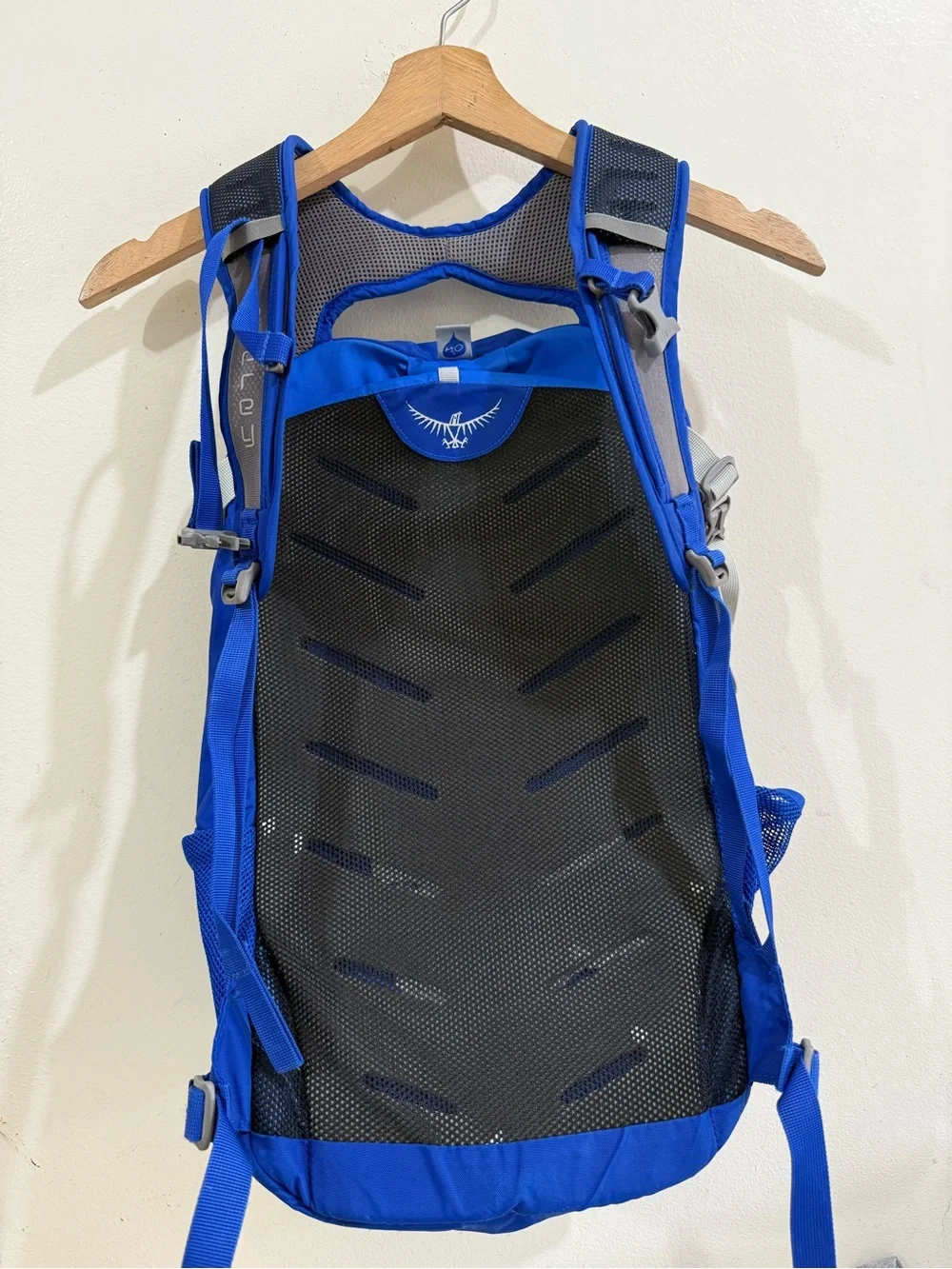 OSPREY Blue Daypack with White Trim